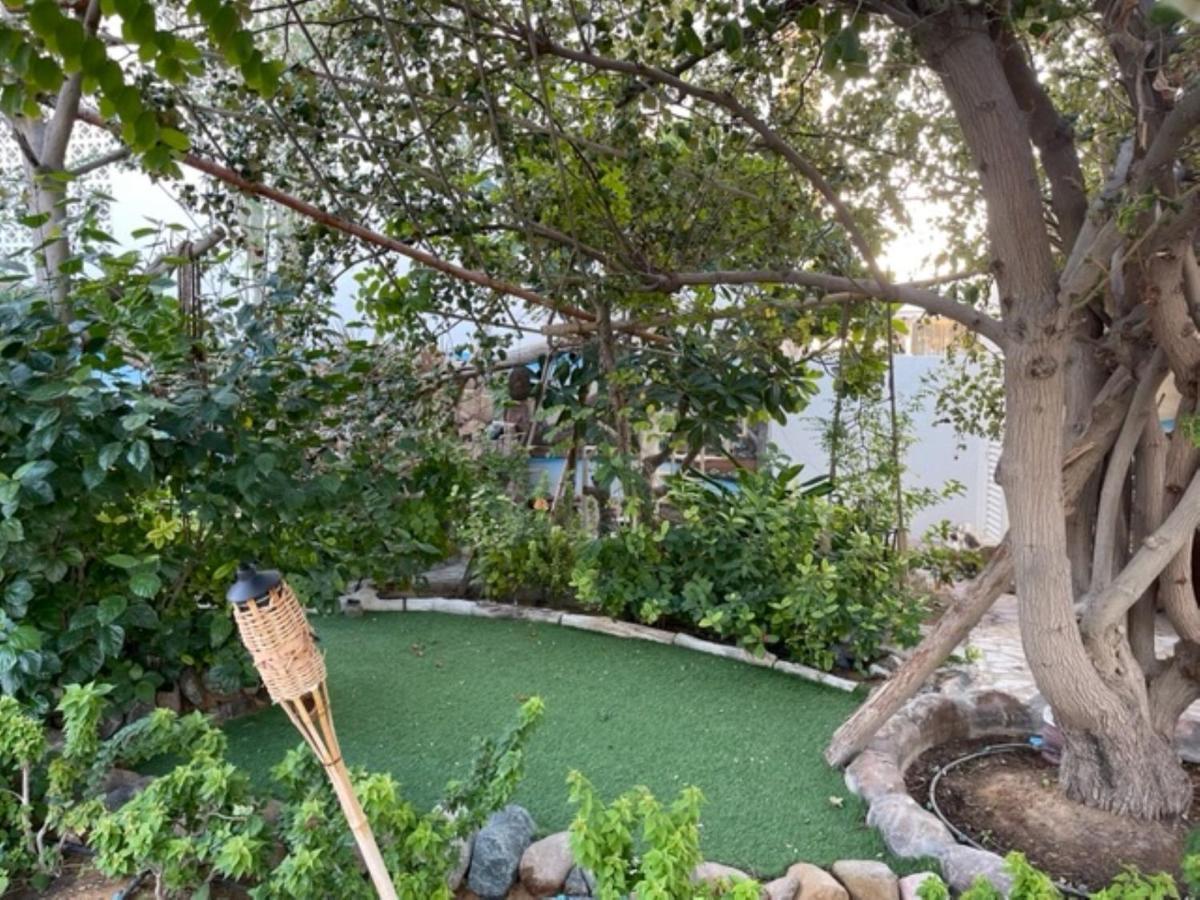 Alhosani Property Abu Dhabi Eksteriør billede