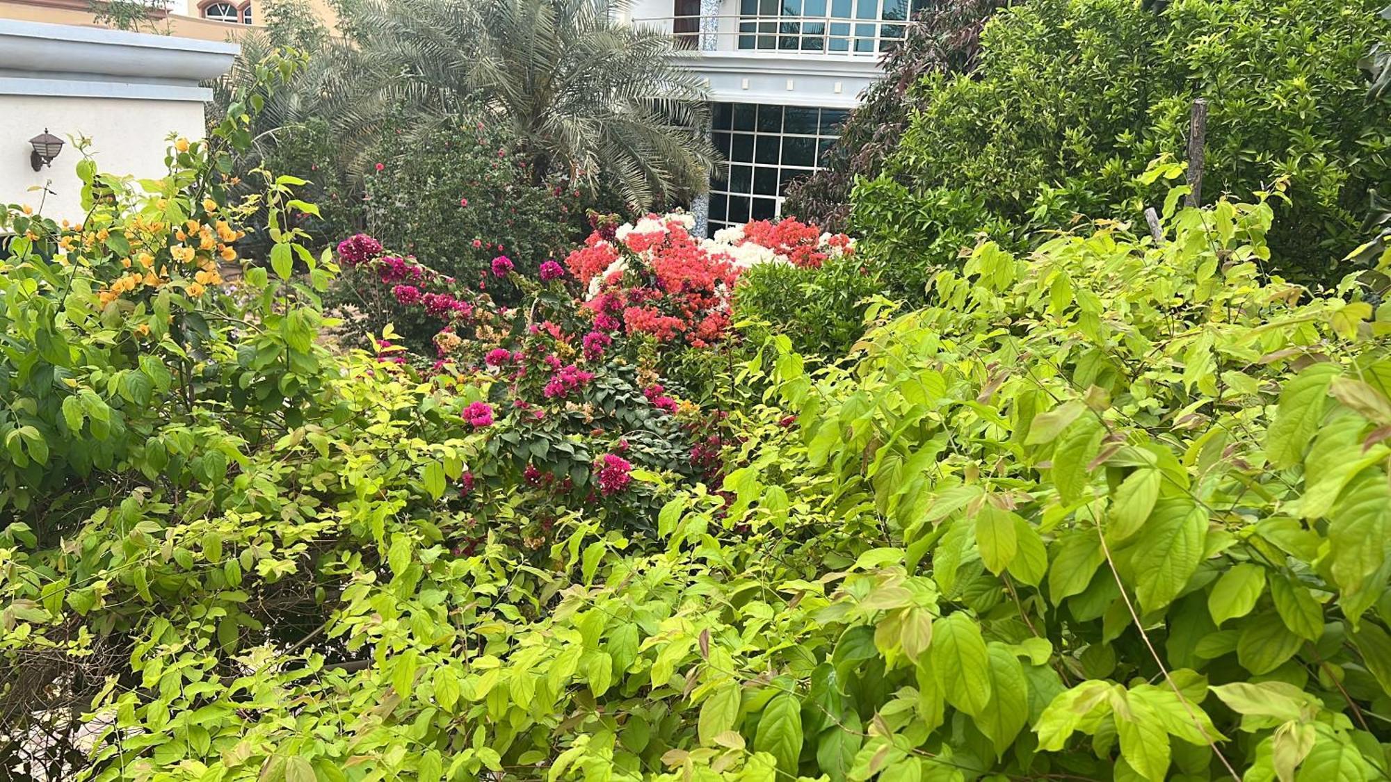 Alhosani Property Abu Dhabi Eksteriør billede